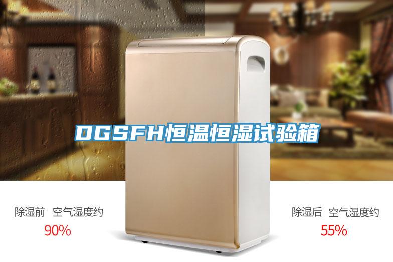 DGSFH恒溫恒濕試驗(yàn)箱
