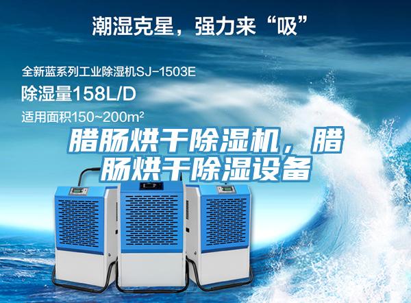 臘腸烘干除濕機(jī)，臘腸烘干除濕設(shè)備