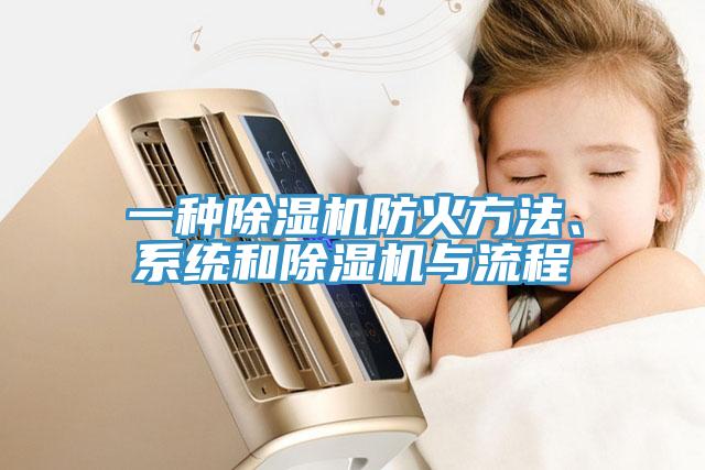 一種除濕機(jī)防火方法、系統(tǒng)和除濕機(jī)與流程