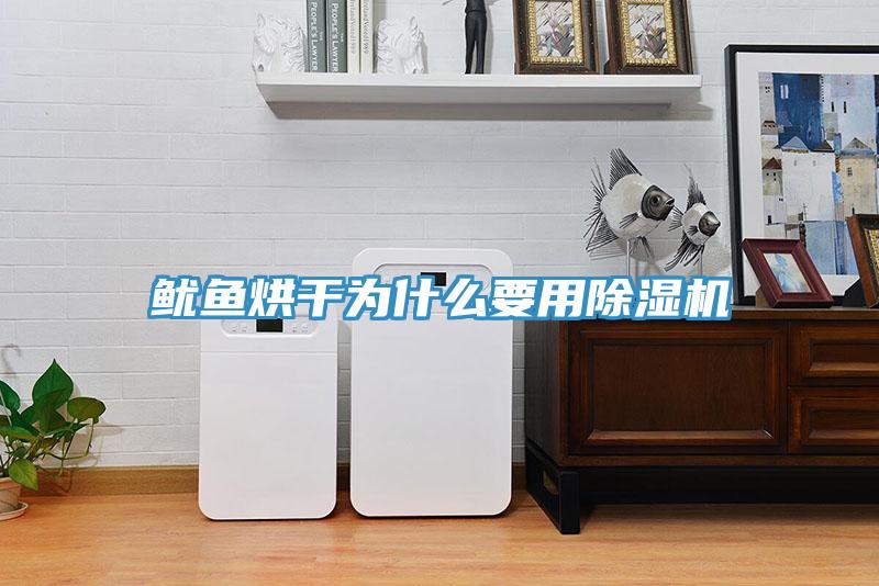 魷魚(yú)烘干為什么要用除濕機(jī)