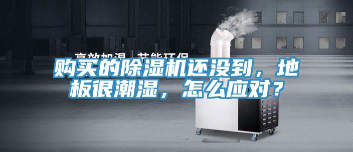 購(gòu)買(mǎi)的除濕機(jī)還沒(méi)到，地板很潮濕，怎么應(yīng)對(duì)？