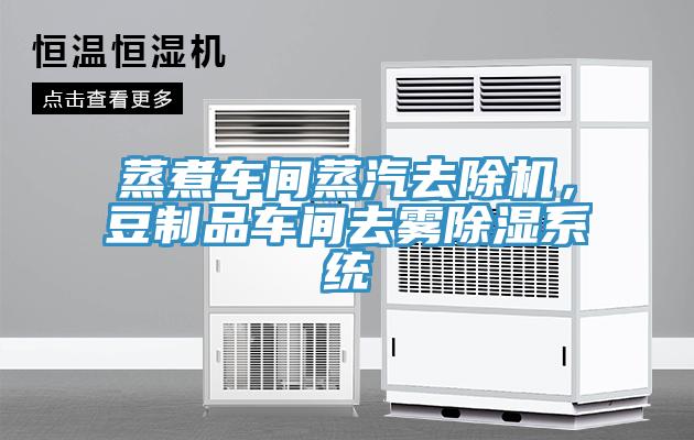 蒸煮車間蒸汽去除機(jī)，豆制品車間去霧除濕系統(tǒng)