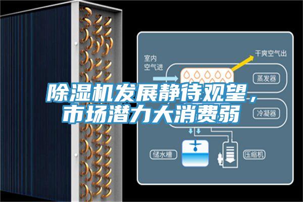 除濕機(jī)發(fā)展靜待觀望，市場潛力大消費(fèi)弱