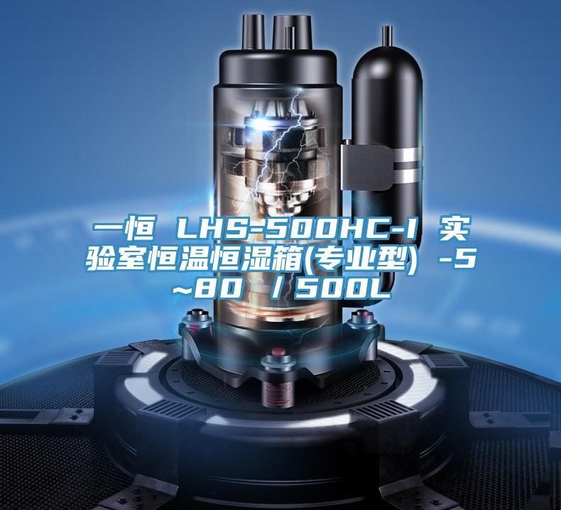 一恒 LHS-500HC-I 實驗室恒溫恒濕箱(專業(yè)型) -5~80℃／500L