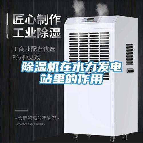 除濕機(jī)在水力發(fā)電站里的作用