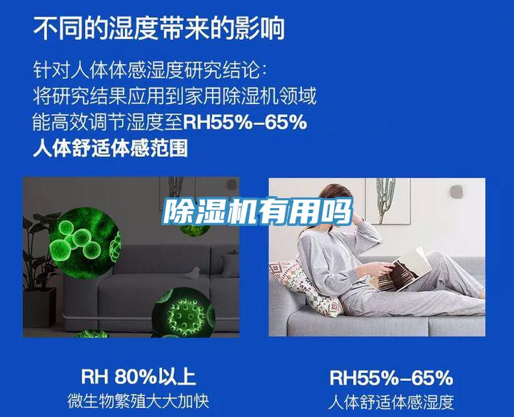 除濕機(jī)有用嗎