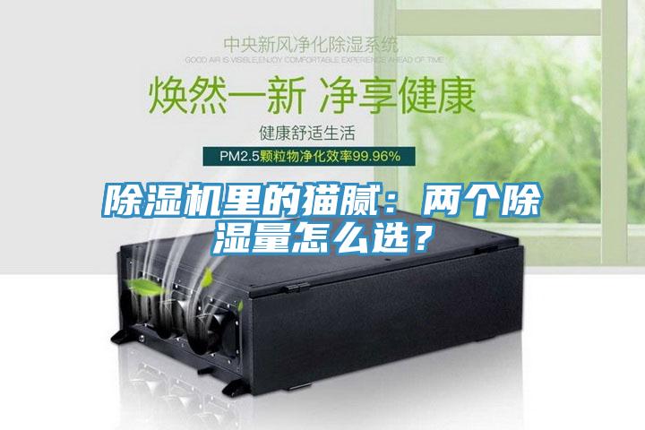 除濕機(jī)里的貓膩：兩個除濕量怎么選？