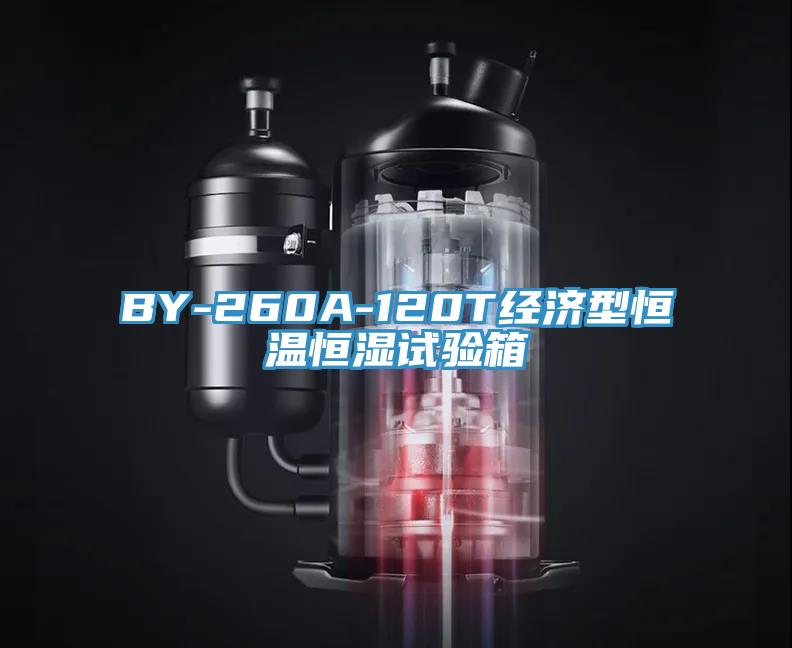 BY-260A-120T經(jīng)濟(jì)型恒溫恒濕試驗箱