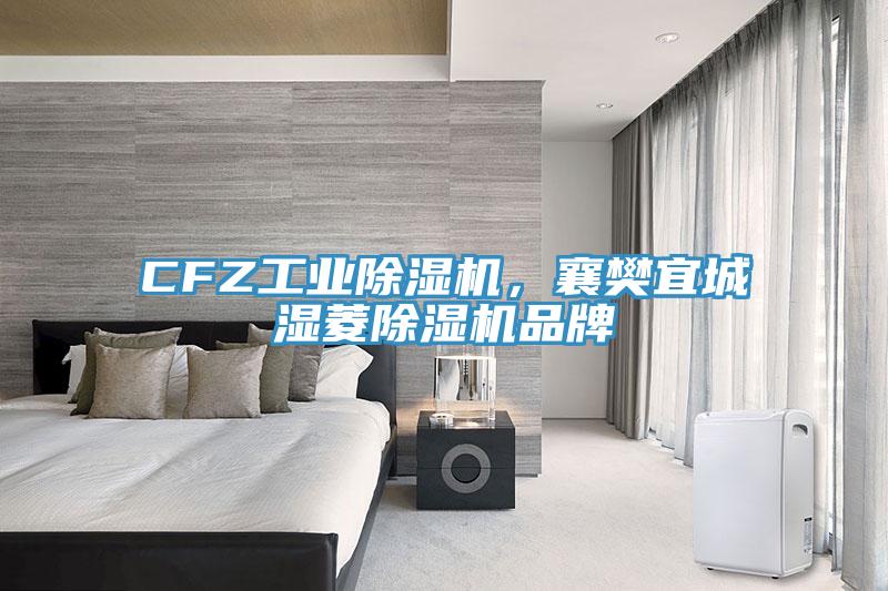 CFZ工業(yè)除濕機(jī)，襄樊宜城濕菱除濕機(jī)品牌