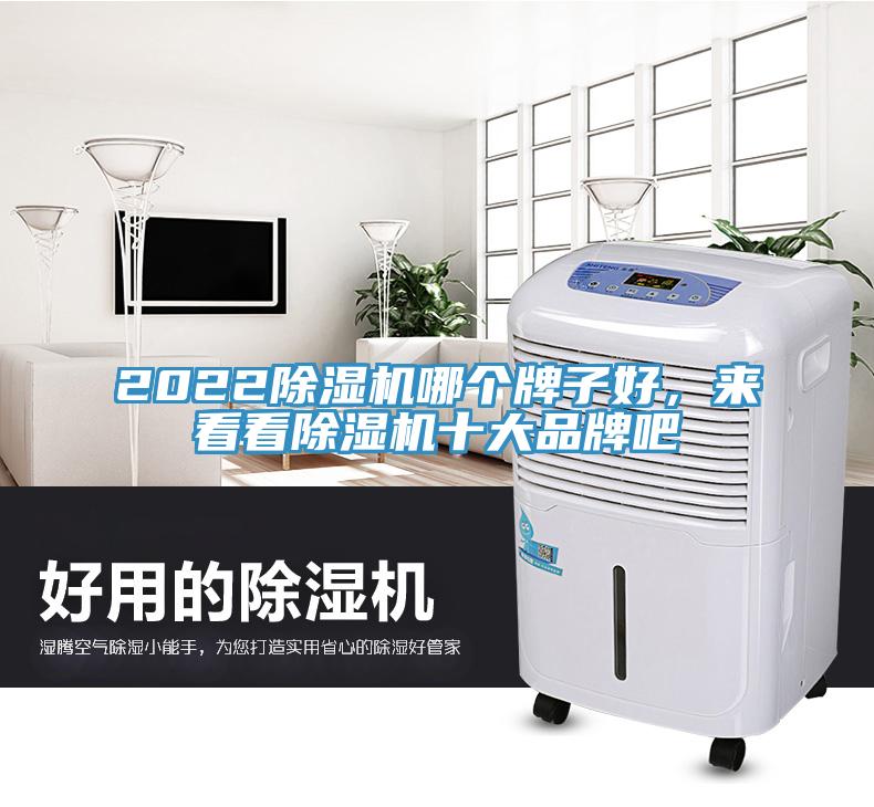 2022除濕機(jī)哪個牌子好，來看看除濕機(jī)十大品牌吧