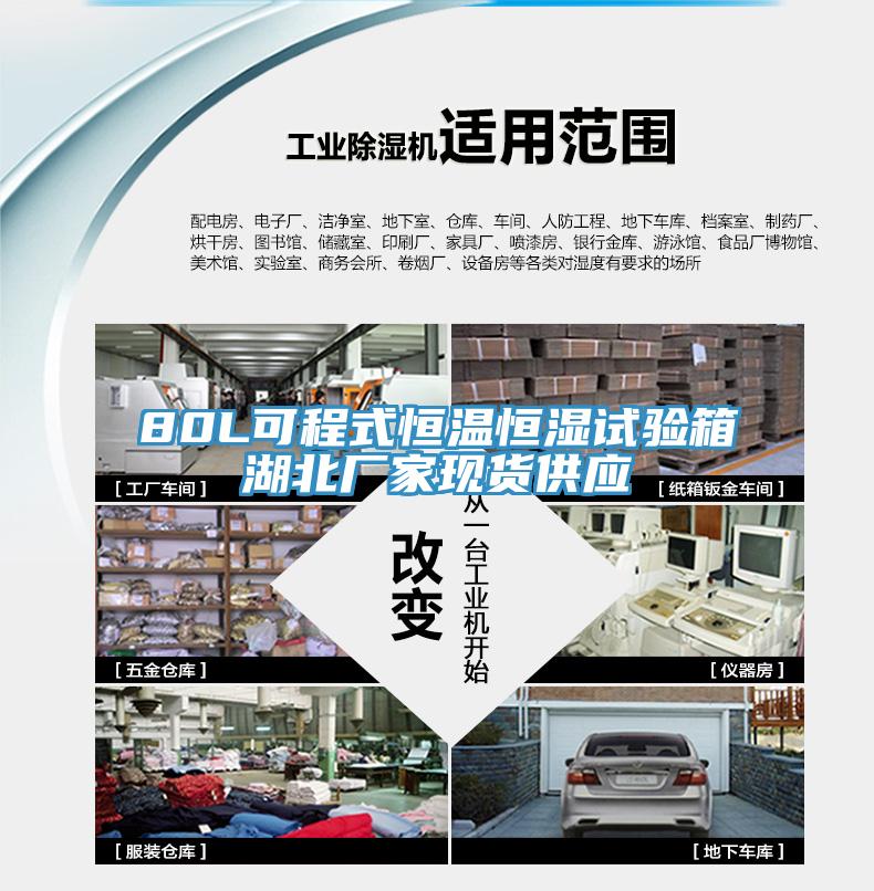 80L可程式恒溫恒濕試驗(yàn)箱湖北廠家現(xiàn)貨供應(yīng)