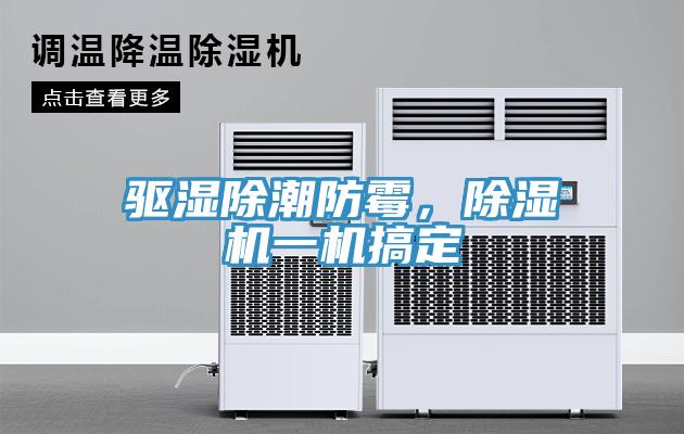 驅(qū)濕除潮防霉，除濕機一機搞定