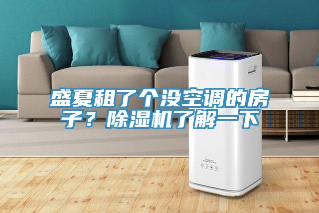 盛夏租了個沒空調(diào)的房子？除濕機了解一下