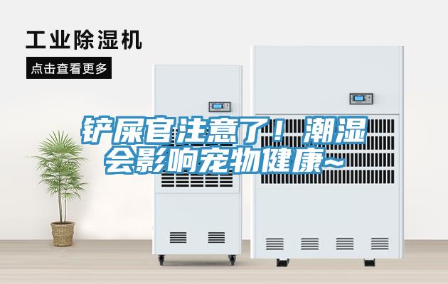 鏟屎官注意了！潮濕會影響寵物健康~