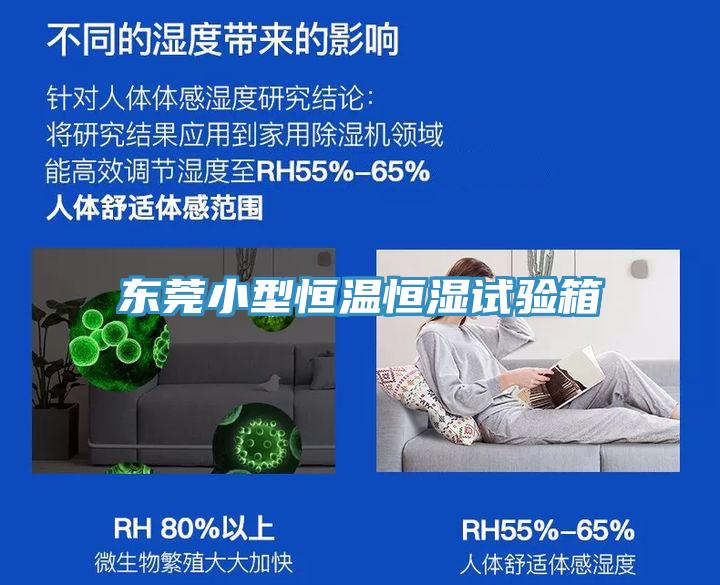 東莞小型恒溫恒濕試驗(yàn)箱