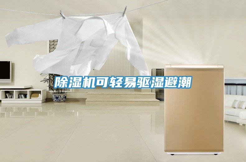 除濕機(jī)可輕易驅(qū)濕避潮