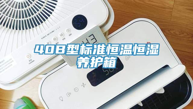 40B型標(biāo)準(zhǔn)恒溫恒濕養(yǎng)護(hù)箱