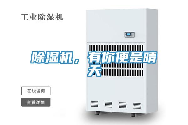 除濕機(jī)，有你便是晴天
