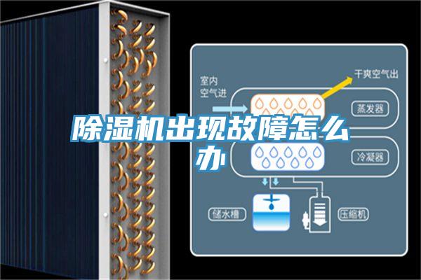 除濕機(jī)出現(xiàn)故障怎么辦