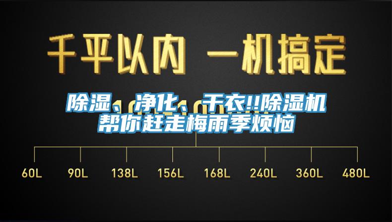 除濕、凈化、干衣!!除濕機(jī)幫你趕走梅雨季煩惱