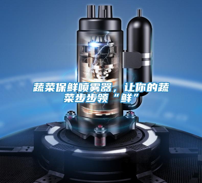 蔬菜保鮮噴霧器，讓你的蔬菜步步領(lǐng)“鮮”
