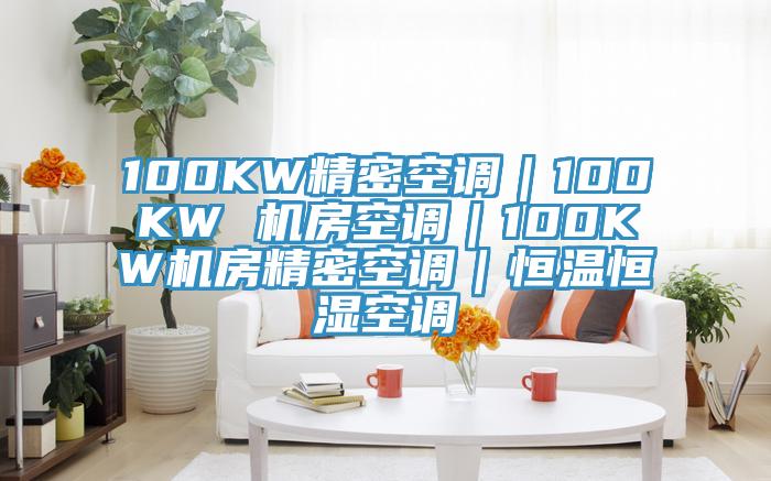 100KW精密空調(diào)｜100KW 機(jī)房空調(diào)｜100KW機(jī)房精密空調(diào)｜恒溫恒濕空調(diào)