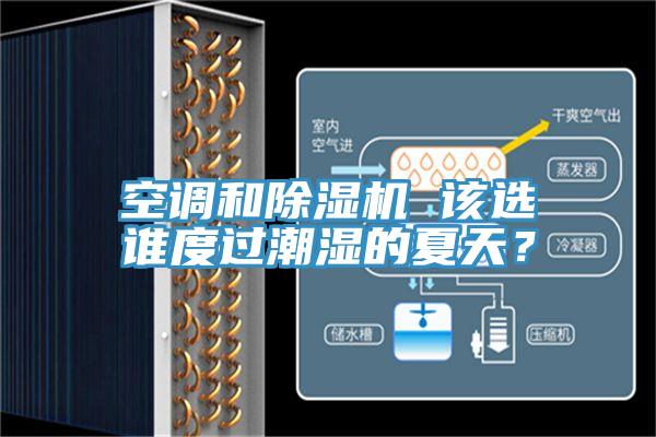 空調(diào)和除濕機 該選誰度過潮濕的夏天？