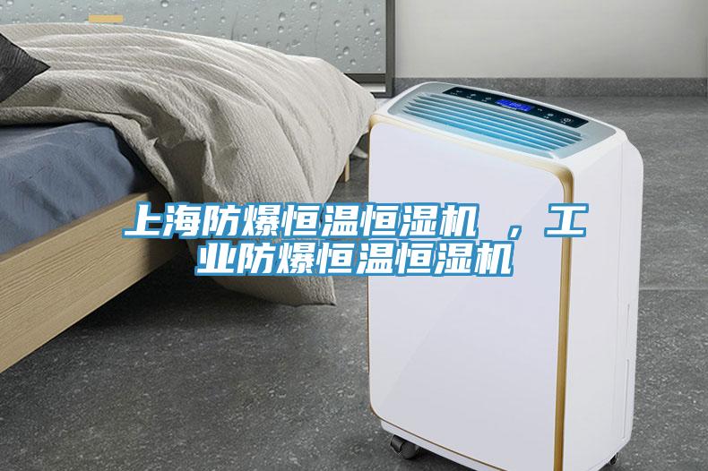 上海防爆恒溫恒濕機(jī) ，工業(yè)防爆恒溫恒濕機(jī)