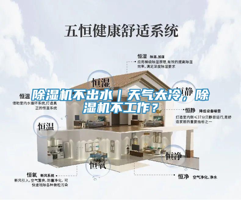 除濕機(jī)不出水｜天氣太冷，除濕機(jī)不工作？