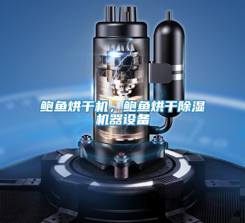 鮑魚烘干機(jī)，鮑魚烘干除濕機(jī)器設(shè)備