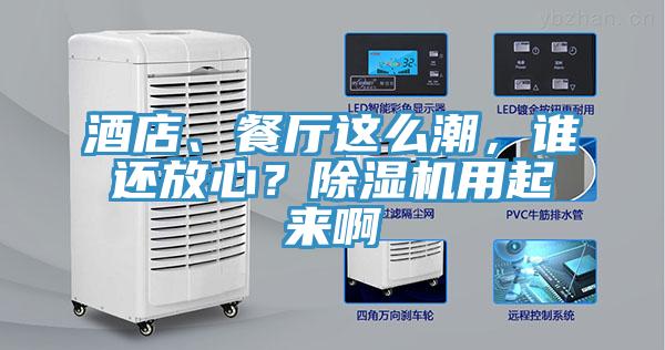酒店、餐廳這么潮，誰還放心？除濕機用起來啊