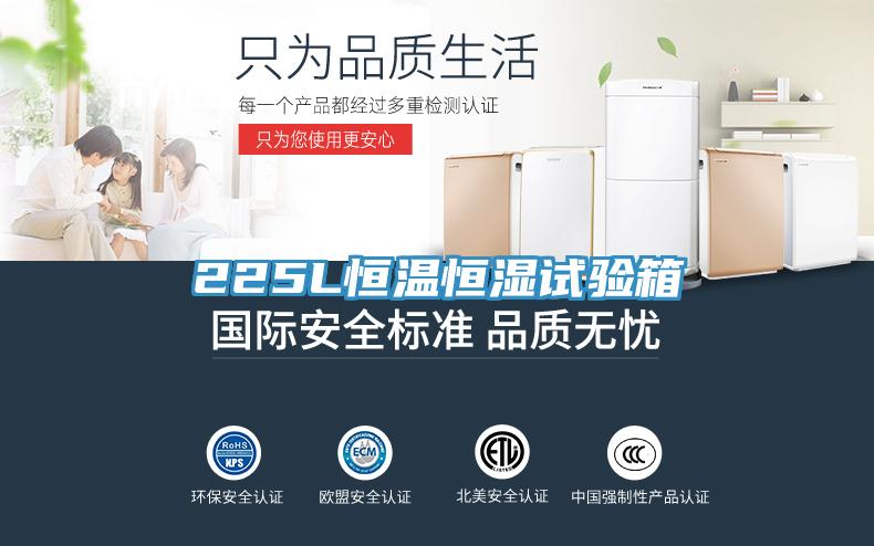 225L恒溫恒濕試驗(yàn)箱