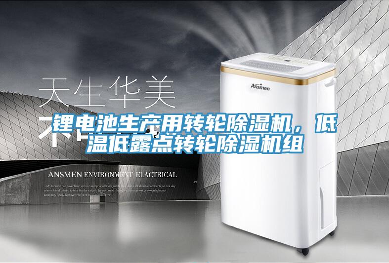 鋰電池生產(chǎn)用轉(zhuǎn)輪除濕機(jī)，低溫低露點(diǎn)轉(zhuǎn)輪除濕機(jī)組