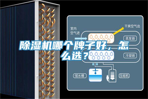 除濕機哪個牌子好，怎么選？