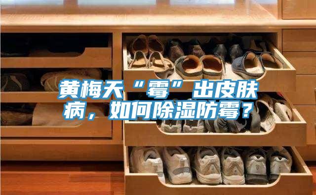 黃梅天“霉”出皮膚病，如何除濕防霉？