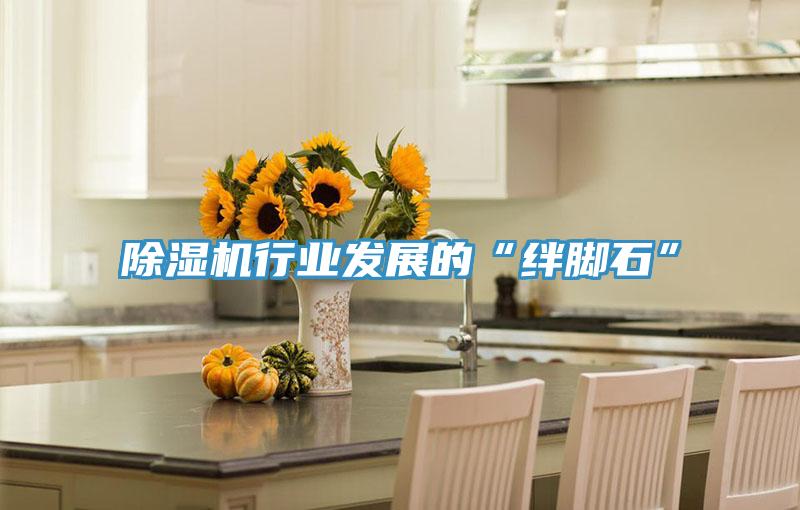 除濕機(jī)行業(yè)發(fā)展的“絆腳石”
