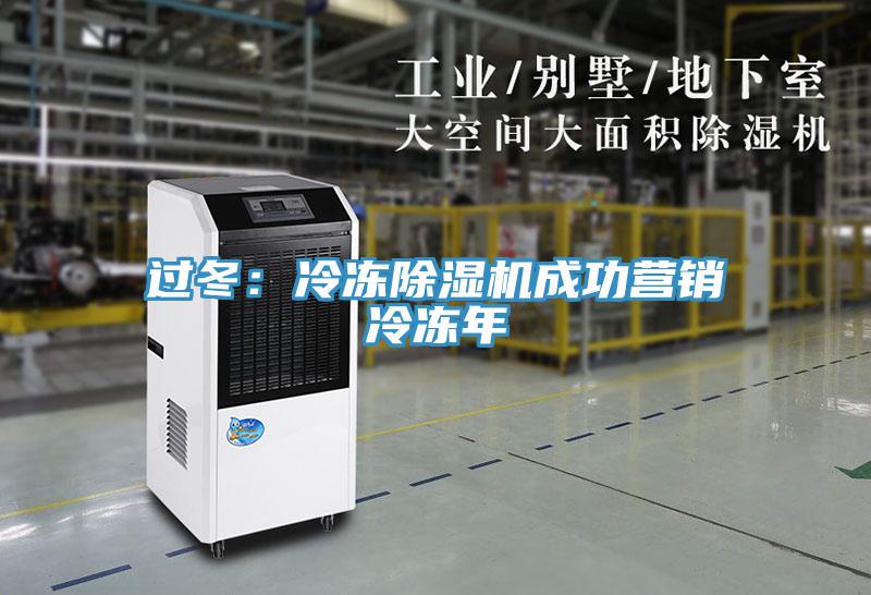 過冬：冷凍除濕機成功營銷冷凍年
