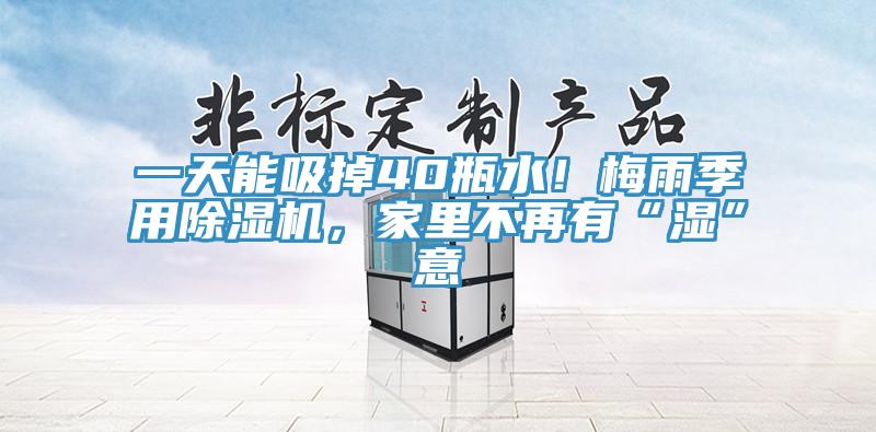一天能吸掉40瓶水！梅雨季用除濕機，家里不再有“濕”意