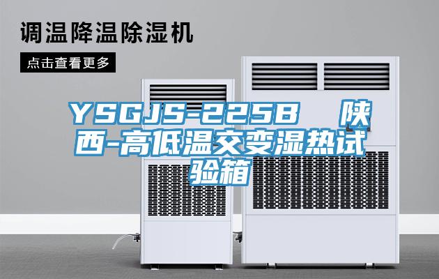 YSGJS-225B  陜西-高低溫交變濕熱試驗箱