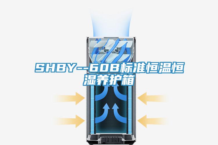 SHBY--60B標(biāo)準(zhǔn)恒溫恒濕養(yǎng)護箱