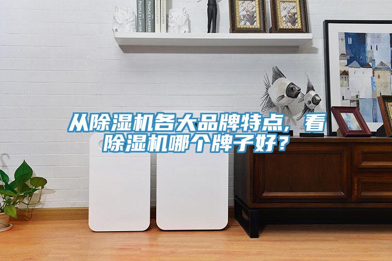 從除濕機各大品牌特點, 看除濕機哪個牌子好？