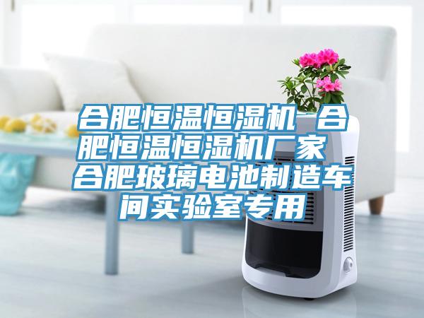 合肥恒溫恒濕機(jī) 合肥恒溫恒濕機(jī)廠家 合肥玻璃電池制造車(chē)間實(shí)驗(yàn)室專(zhuān)用