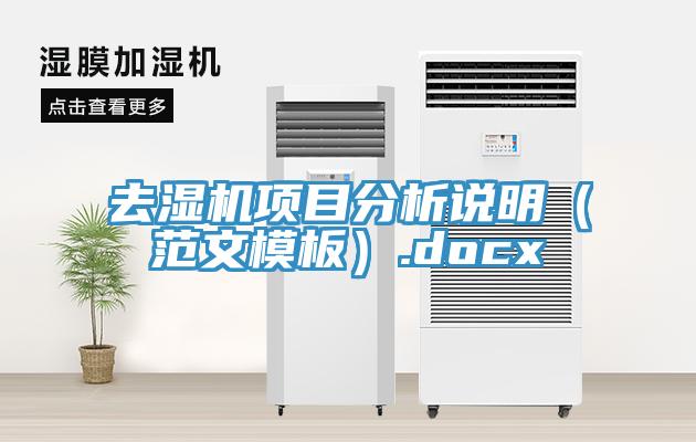 去濕機(jī)項(xiàng)目分析說明（范文模板）.docx