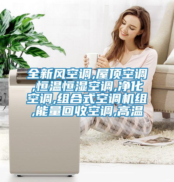 全新風空調(diào),屋頂空調(diào),恒溫恒濕空調(diào),凈化空調(diào),組合式空調(diào)機組,能量回收空調(diào),高溫