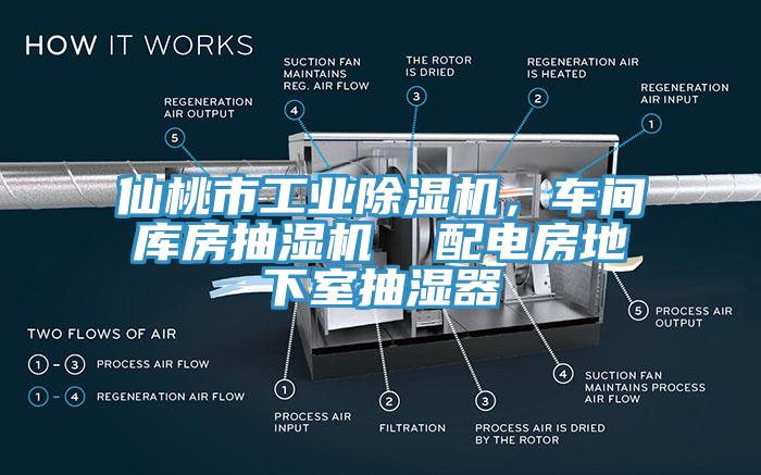 仙桃市工業(yè)除濕機(jī)，車(chē)間庫(kù)房抽濕機(jī)  配電房地下室抽濕器