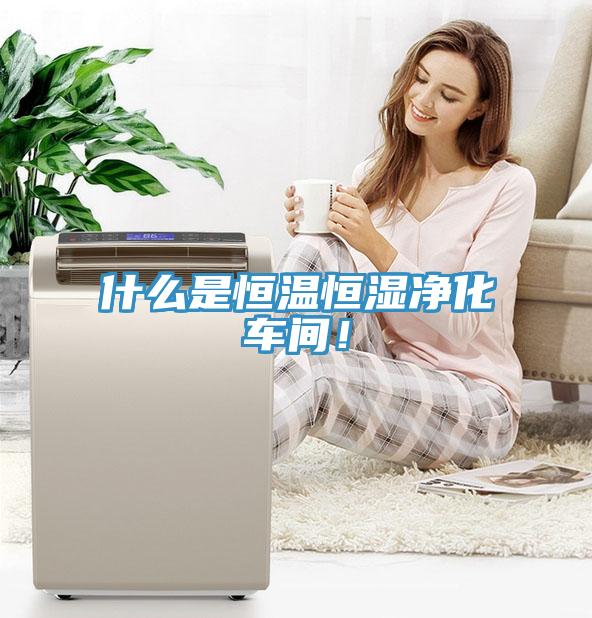 什么是恒溫恒濕凈化車間！
