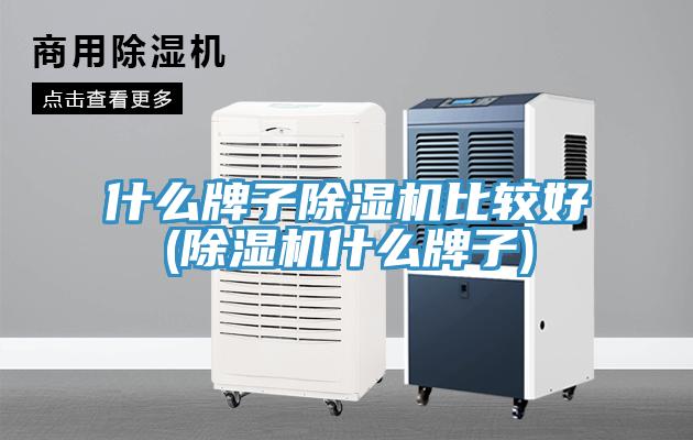 什么牌子除濕機(jī)比較好(除濕機(jī)什么牌子)