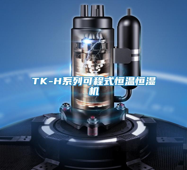 TK-H系列可程式恒溫恒濕機(jī)