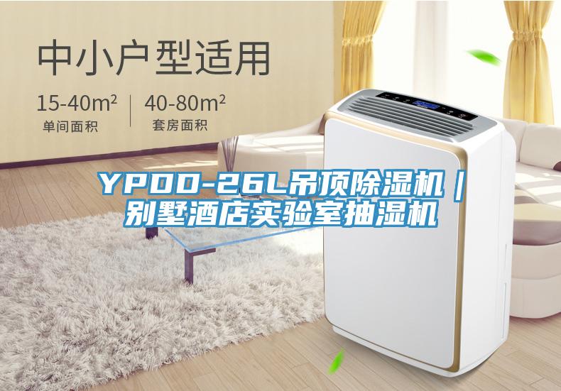 YPDD-26L吊頂除濕機(jī)｜別墅酒店實驗室抽濕機(jī)