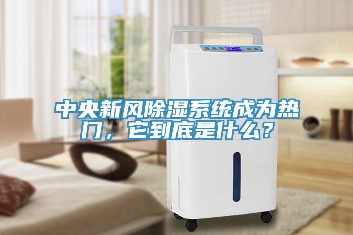 中央新風(fēng)除濕系統(tǒng)成為熱門，它到底是什么？